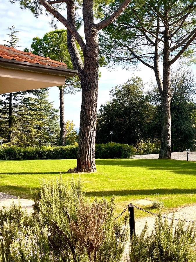 Nuances Del Conero Relais Bed & Breakfast Castelfidardo Bagian luar foto
