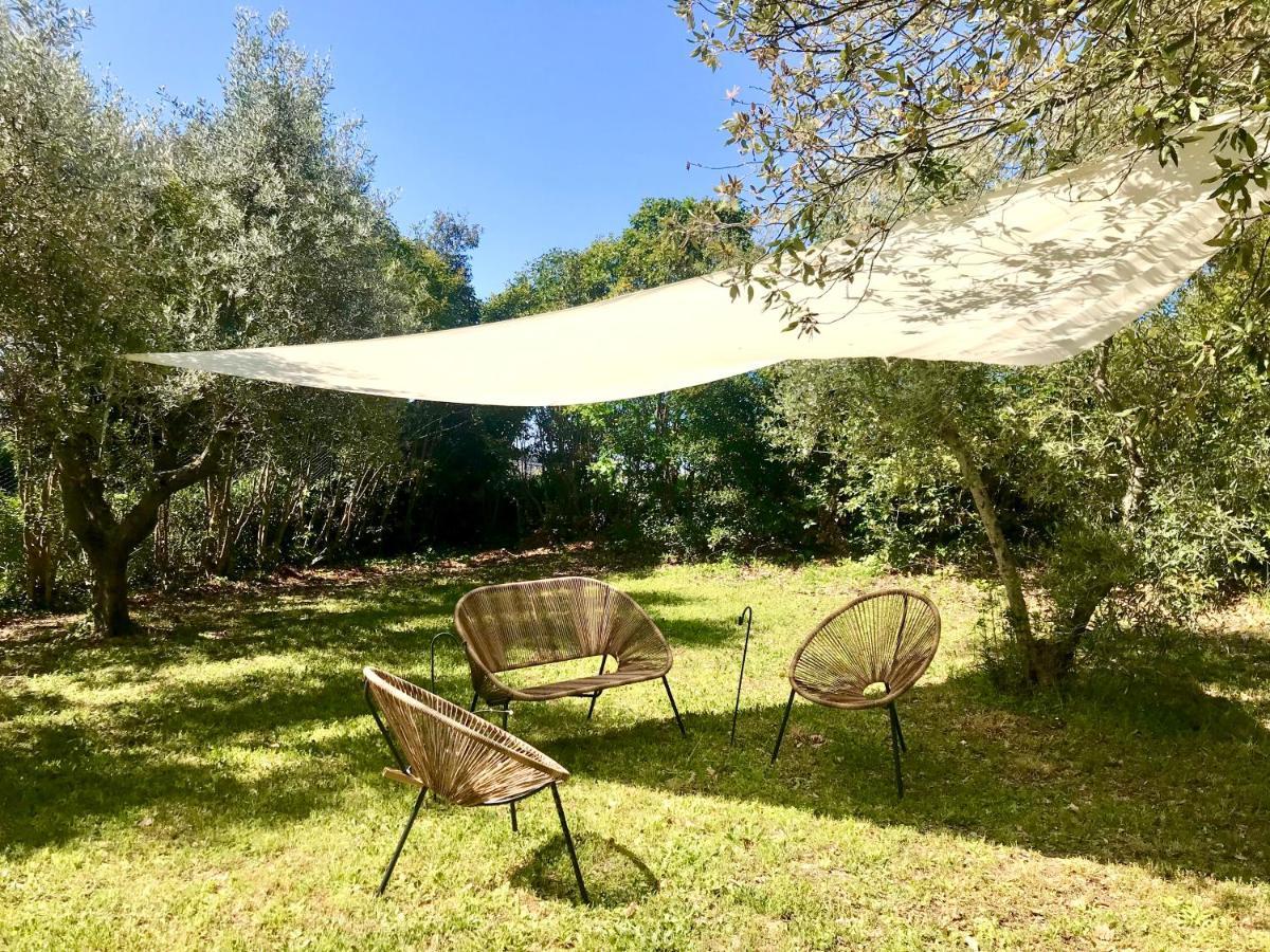 Nuances Del Conero Relais Bed & Breakfast Castelfidardo Bagian luar foto